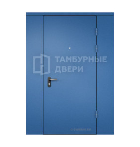 Дверь тамбурная глухая с перегородкой порошок — порошок ТД-41